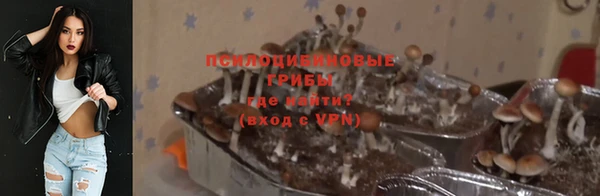 марки lsd Осинники