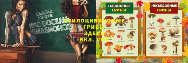 спайс Абинск